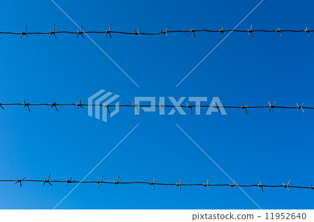 Barbed wire 11952640