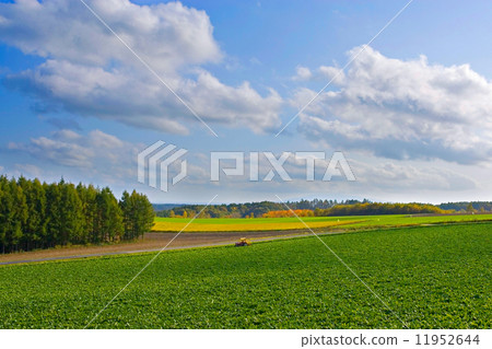 Majestic countryside in Hokkaido 11952644