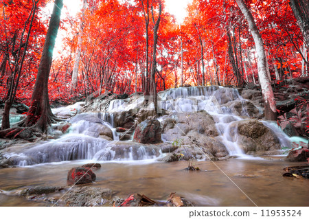 Deep forest waterfall 11953524