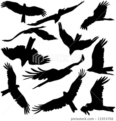 Set black silhouettes of prey eagles on white background. Vector Set black silhouettes of prey eagles on white background. Vector 11953708