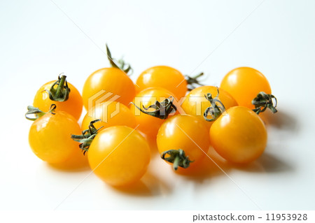 Mini Tomato Mini Tomato 11953928