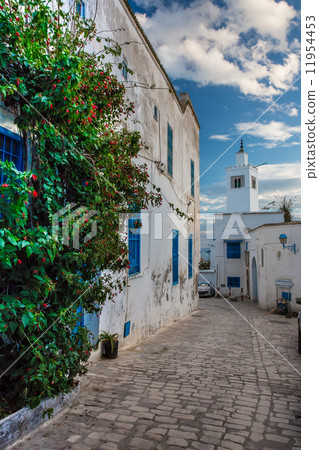 Sidi Bou Said 11954453