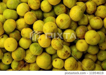 fresh lemon background fresh lemon background 11954619