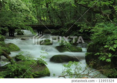 Rain no Oirase Rain no Oirase 11955324