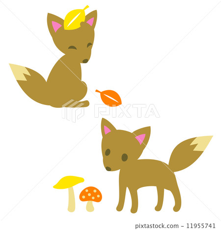 Fox  11955741