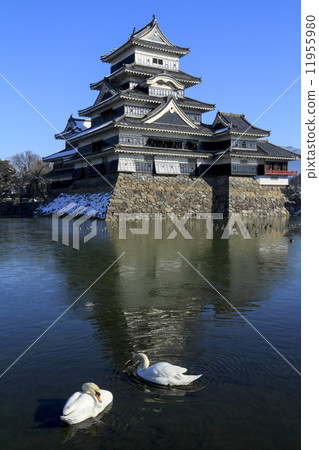 松本城的冬天 松本城的冬天 11955980