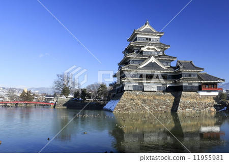 松本城的冬天 11955981