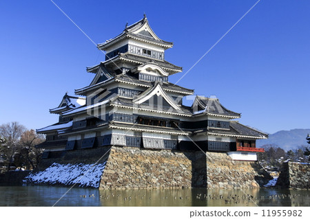 松本城的冬天 11955982
