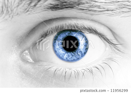 Man Eyes 11956299