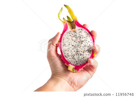 Male hand holding dragon fruit 11956748