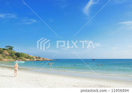 Beach in the southern country 11956894