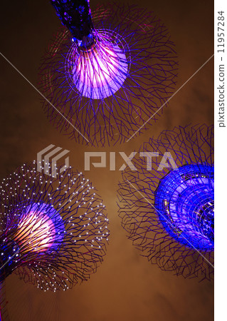 Night view of Gardens by the Bay 11957284