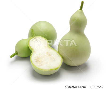 Edible gourd 11957552