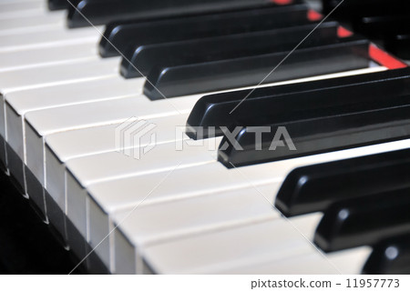Black and white piano keys 11957773