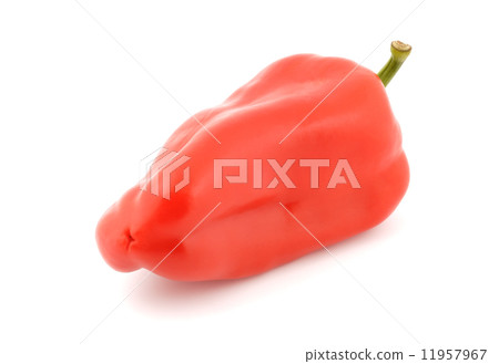 Fresh peppers vegetable 11957967