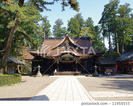 Katori Shrine Katori Shrine 11958555