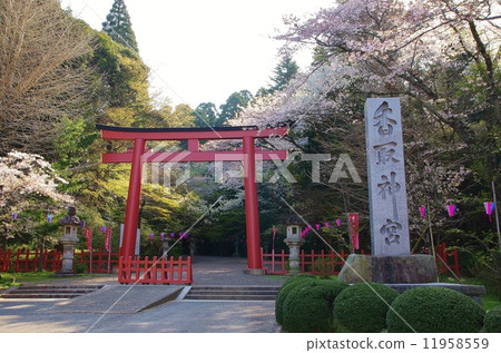 Katori Shrine Katori Shrine 11958559