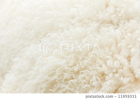 close up of lambswool texture  11959331