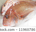 Live sea bream 11960786