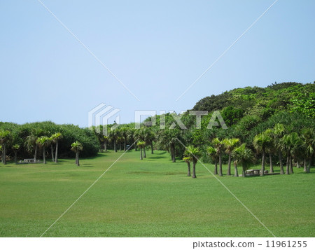 台灣最南端墾丁國家公園鵝鑾鼻公園 11961255