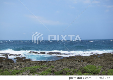 台灣最南端墾丁國家公園鵝鑾鼻公園 11961256