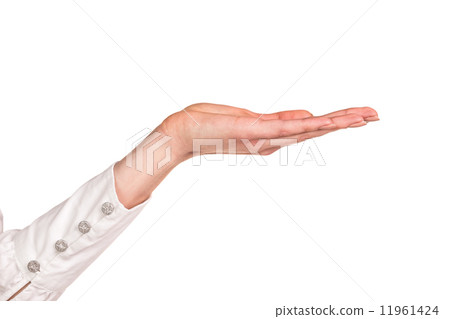 Woman's hand Woman's hand 11961424