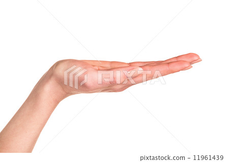 Woman's hand Woman's hand 11961439