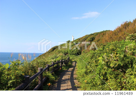 Misaki Park 11961489