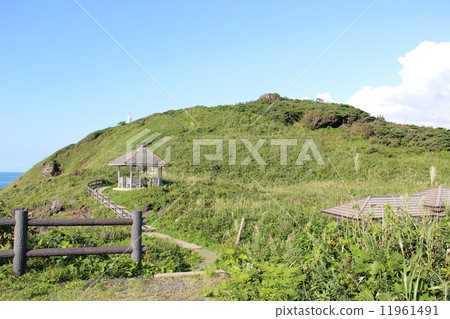 Misaki Park Misaki Park 11961491