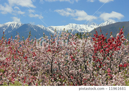Hua Mang and Central Alps 11961681