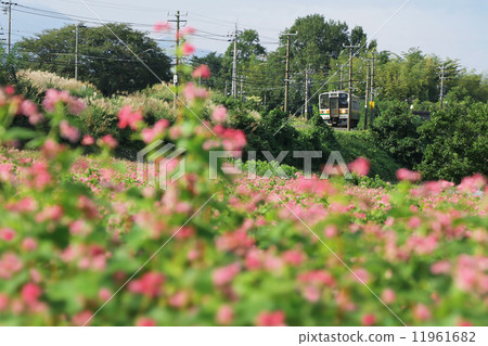 Red soba and Iida line 11961682