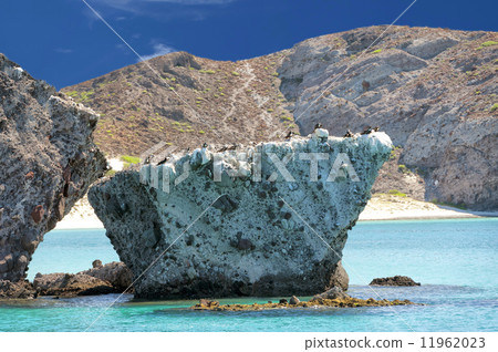 baja california beach 11962023
