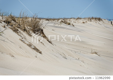 beach sand dunes 11962090