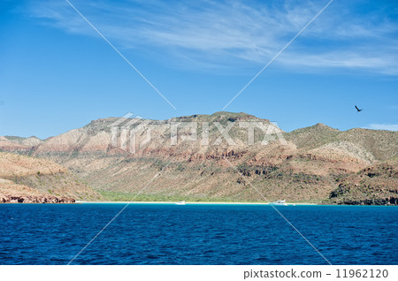 baja california beach 11962120