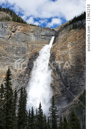 Takkakaw Falls 11962258
