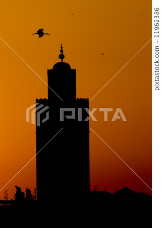 A stork silhouette on Marrakech Mosque sunset view 11962386