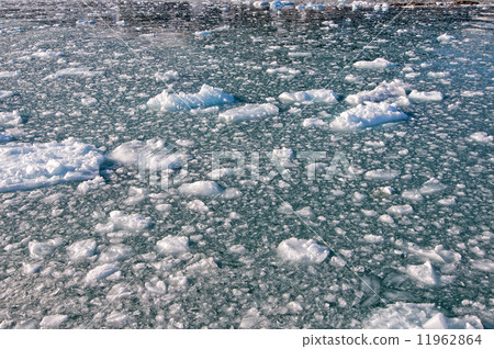 Svalbard Spitzbergen Glacier view with small iceberg 11962864
