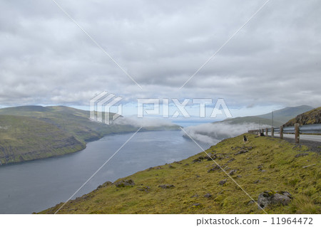 Sheep ram in far faer oer island landscape 11964472