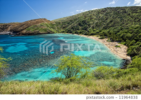 Hawaii Oahu hanauma bay view 11964838