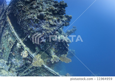umbria ship wreck in red sea 11964959