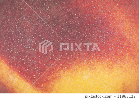 A red and yellow peach 11965122