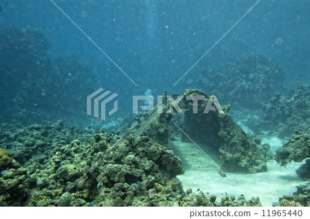 Precontinent Jacques Cousteau underwater house Precontinent Jacques Cousteau underwater house 11965440