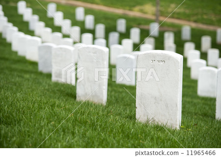 arlington cemetery graveyard arlington cemetery graveyard 11965466