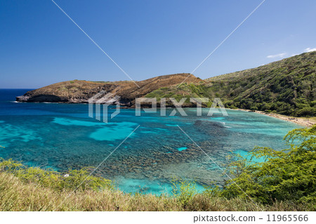 Hawaii Oahu hanauma bay view 11965566