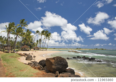 Hawaii Poipu beach landscape 11965860