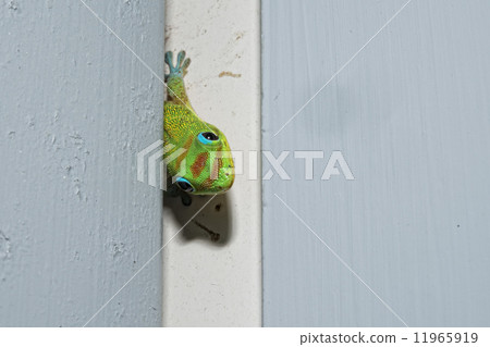 Gold dust day gecko while looking at you 11965919