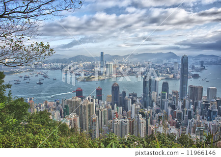Hong Kong Panorama View from The Peak Hong Kong Panorama View from The Peak 11966146