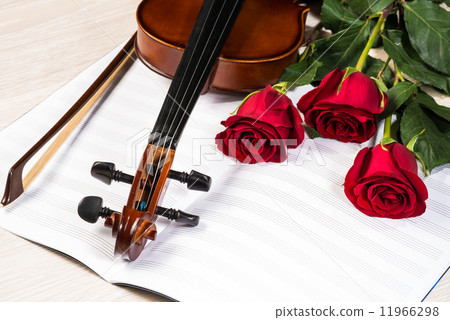 Violin, rose and music books Violin, rose and music books 11966298