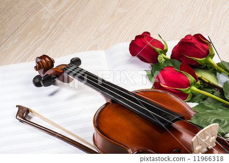 Violin, rose and music books 11966318