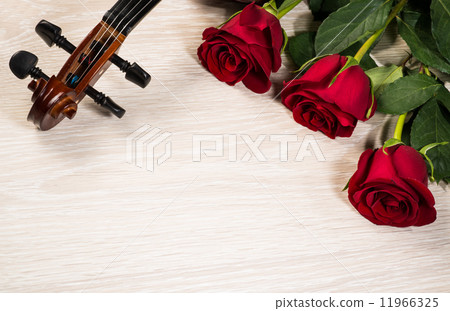 Violin, rose and music books Violin, rose and music books 11966325